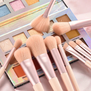 Premium Makeup Brushes Set for Women