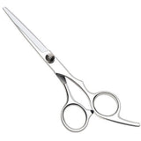 Professional hairdressing scissors